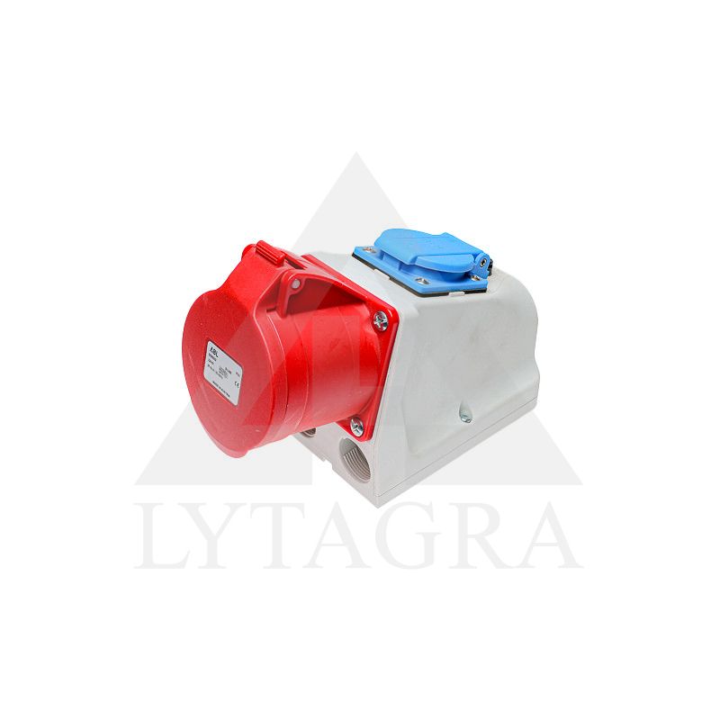 LIZDAS PRIE SIENOS 32AX5P 9532
