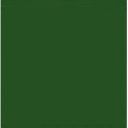 47931501 COLOR ENAMEL RAL 5400 ŽALIA 0,65L