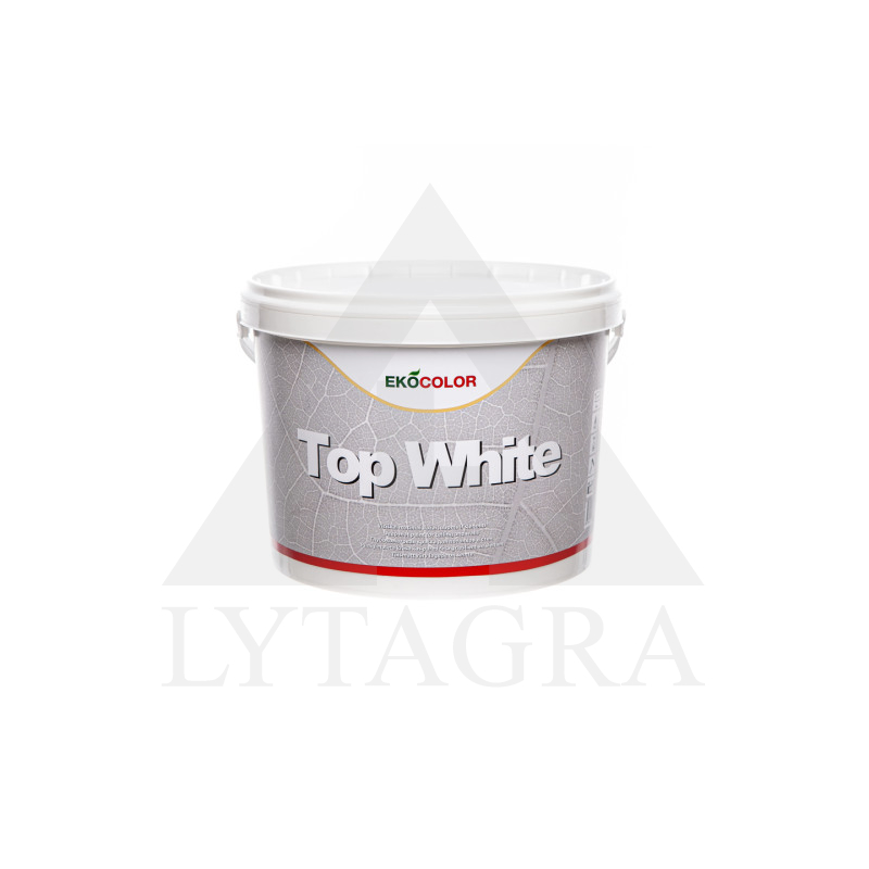 DISPERS.DAŽAI TOP WHITE 5L