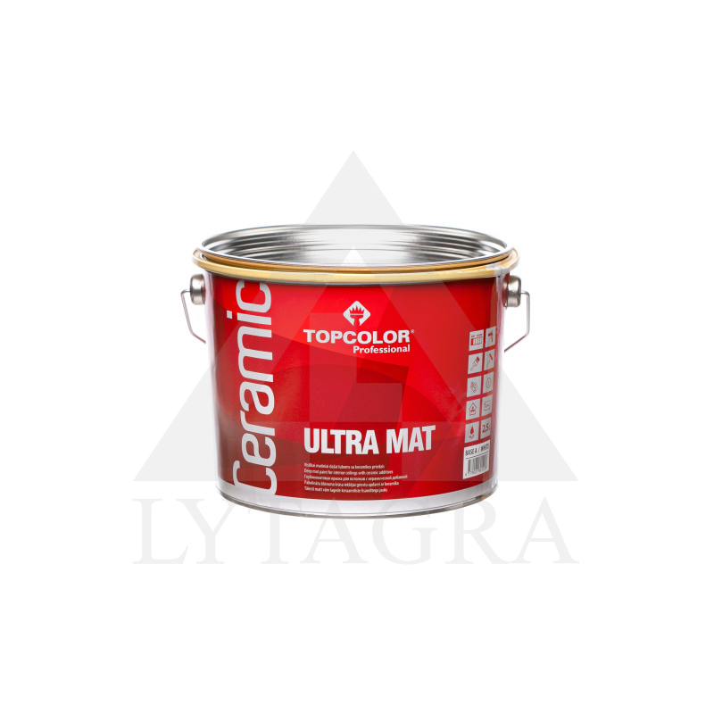 DISPERS.DAŽAI PROFESSIONAL ULTRA MAT 2,5L  3-X6