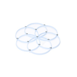 338 PADĖKLAS ATSPARUS KARŠČIUI KOLB ROZETA