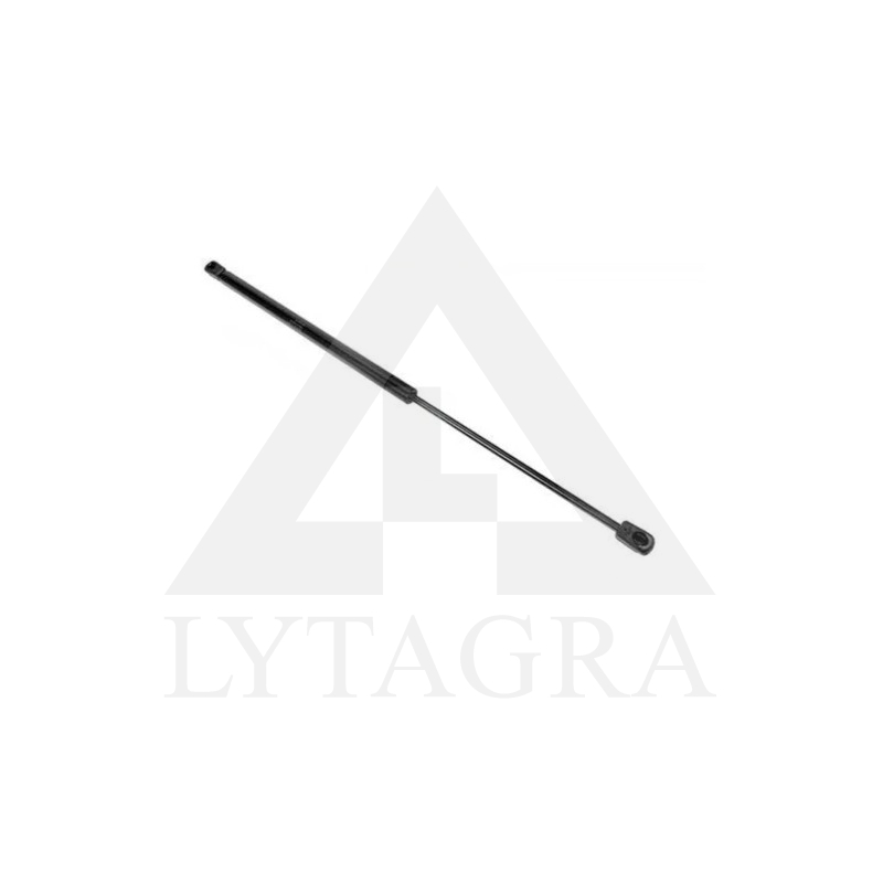 DUJINIS AMOTIZATORIUS 570/300/200