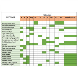 Microdoctor Mn/Zn, purškiama augalų priežiūros priemonė su manganu ir cinku 1 L