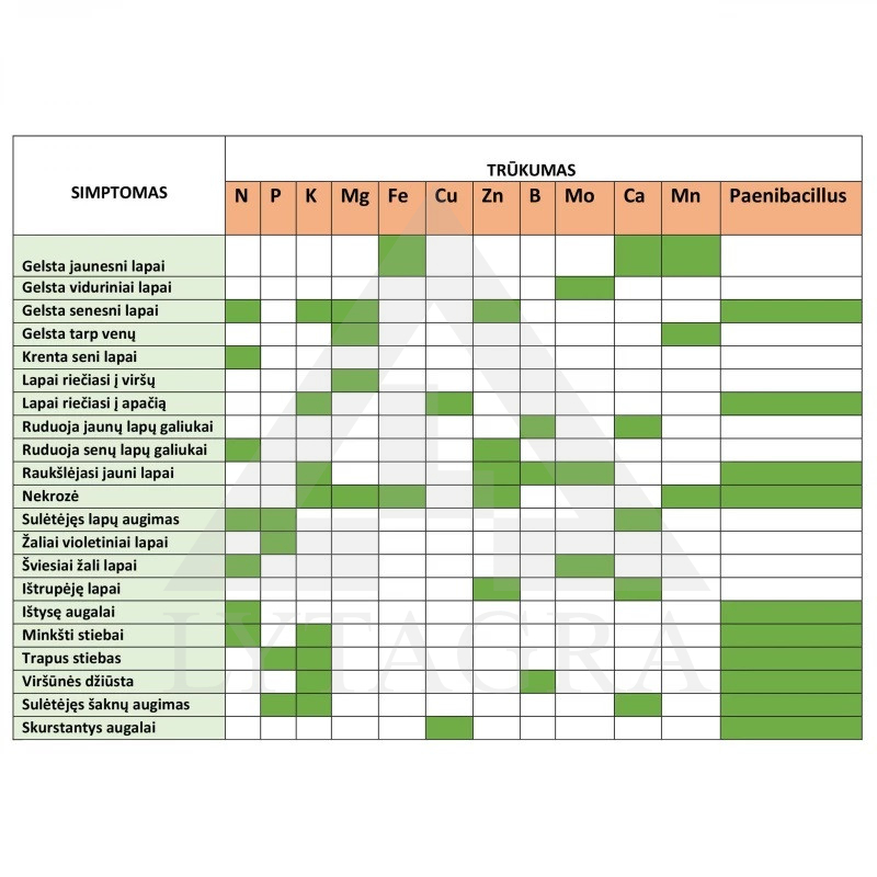 Microdoctor Mn/Zn, purškiama augalų priežiūros priemonė su manganu ir cinku 1 L