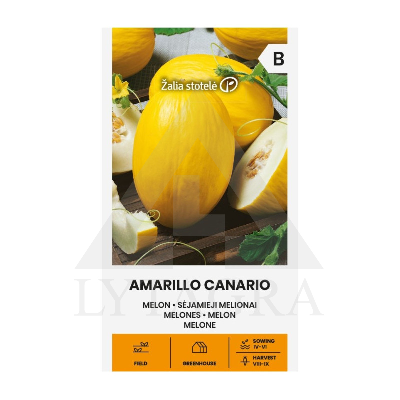 VL MELIONAI SĖJAMIEJI AMARILLO CANARIO