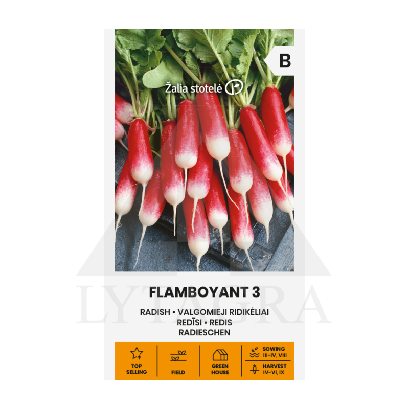 VL RIDIKĖLIAI VALGOMIEJI FLAMBOYANT 3  5G