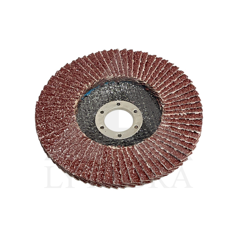 Žiedlapinis šlifavimo diskas Stromtec 125x22.23 P24