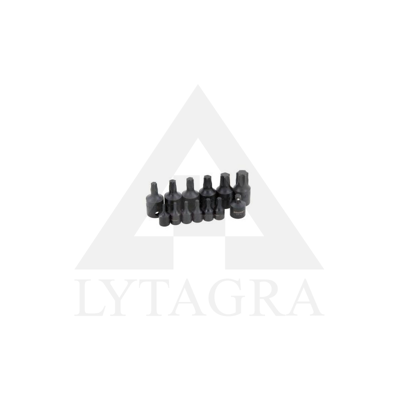 CT3624 ANTGALIŲ RINK.1/4 3/8 TRUMPI TORX T8-T60 13