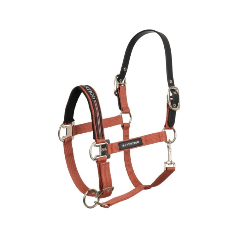 81T0N-279-00F B Vertigo Empowerment apynasris