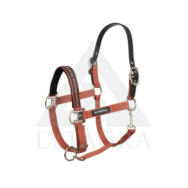 81T0N-279-00XF B Vertigo Empowerment apynasris