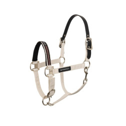 81T0N-022-00F B Vertigo Empowerment apynasris