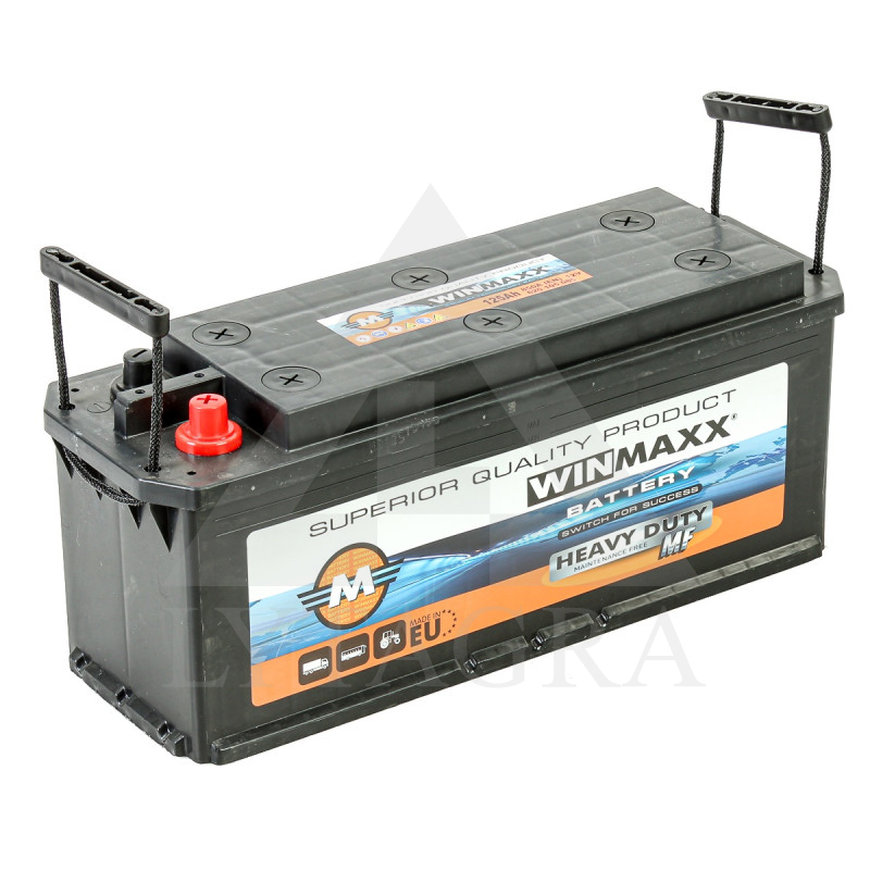 Akumuliatorius Winmaxx 12V / 135Ah / 900A / +Dešinėje