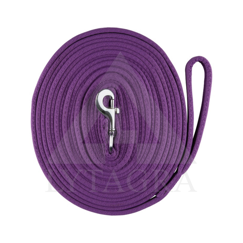 10823-PU HORZE PAVADĖLIS ŽIRGUI