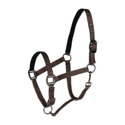 CLAREMONT Apynasris 22325-CCBR-F