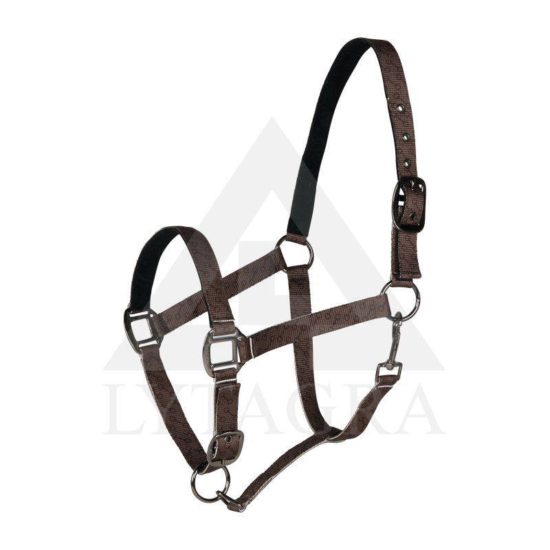 CLAREMONT Apynasris 22325-CCBR-F