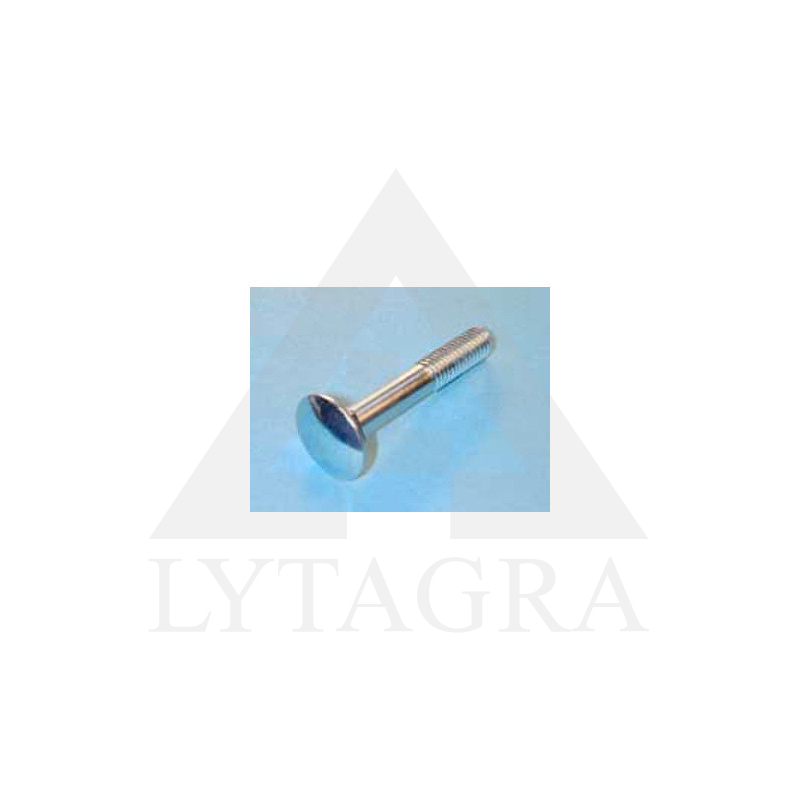 VARŽTAS DIN603 M8X25 ZN