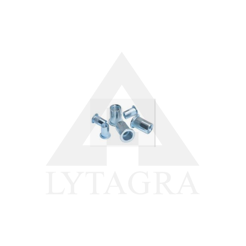 VERŽLĖ-KNIEDĖ M10 PLIEN.FH03011010012