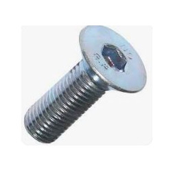 VARŽTAS DIN7991 M12-100 79911210000
