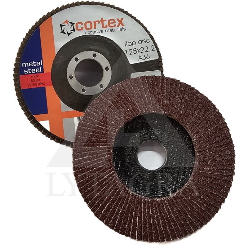 30908 DŠL 125X22 P36 T27 AIO CORTEXX80M/S