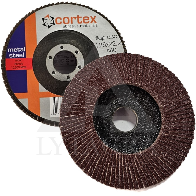 30910 DŠL 125X22 P60 T27 AIO CORTEX 80M/S