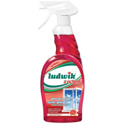 LUDWIK Langų valiklis su actu, 750 ml