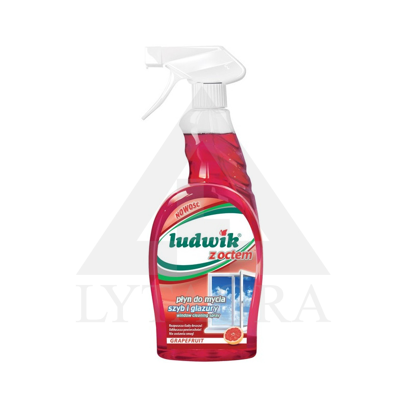LUDWIK Langų valiklis su actu, 750 ml