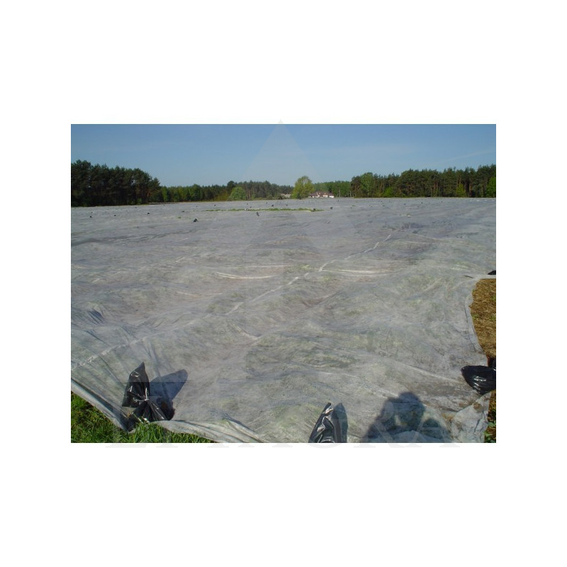 AGROPLĖVELĖ 19g/m2 12.65m (100m) BALTA