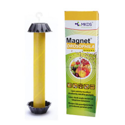MAGNET Drosophila vaisinių muselių gaudyklė
