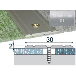Profilis Effector A02 sujungimo sidabrinis 270 cm 30x2 mm