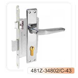 ĮLEIDŽ SPYNA AGRA 481Z-3482/C-43