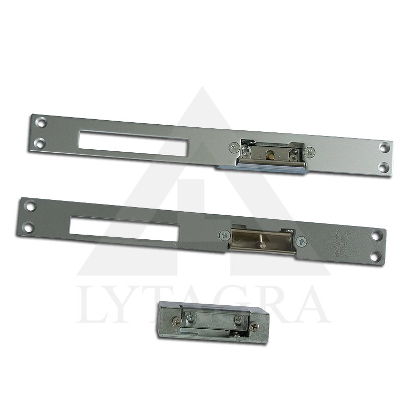 PLOKŠTELĖ ELEKTROMAGNETINĖ