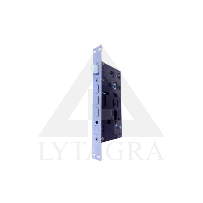 SPYNA D-60 KINIJOS GAM.DURIMS