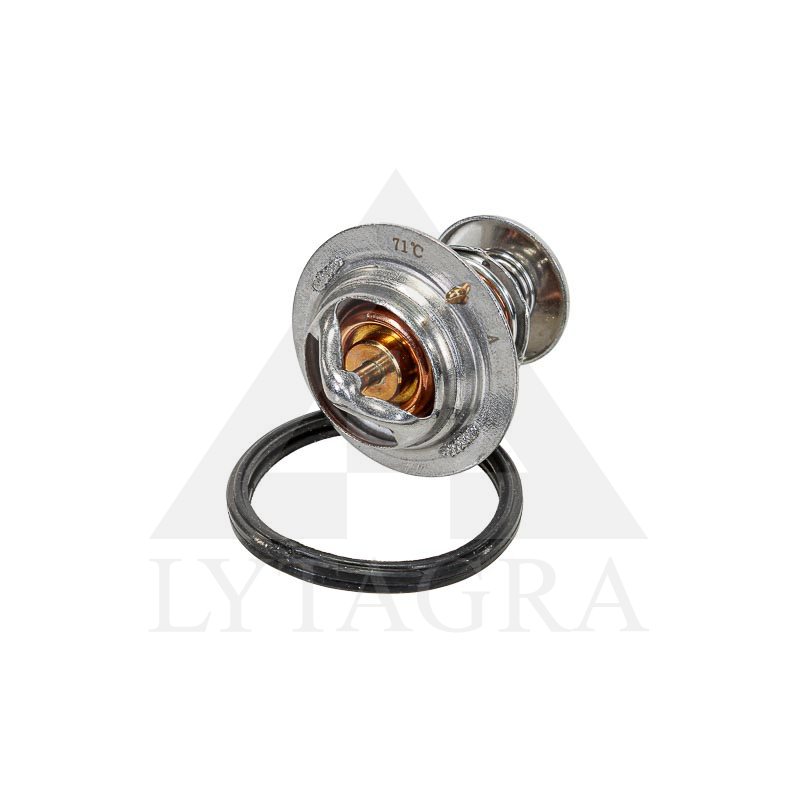 Termostatas Yanmar F/FX serijos 129455-49801