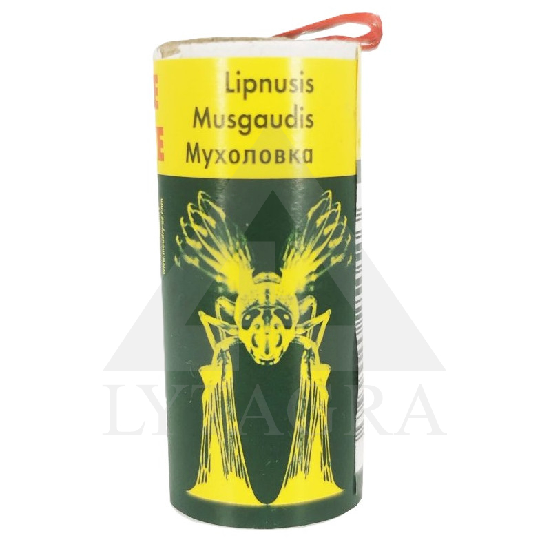 APVALIEJI LIPNIEJI MUSGAUDŽIAI 100P