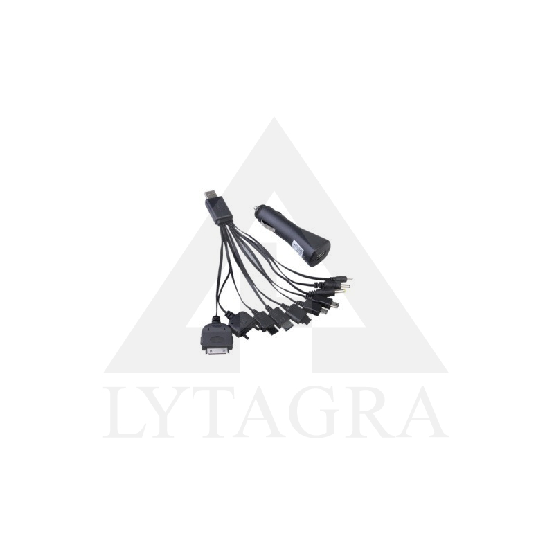 UNIVERSALUS ĮKROVIKLIS + USB 1A