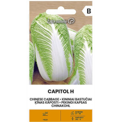 VL KININIAI BASTUČIAI CAPITOL H 0,1G