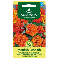 AGR SERENČIAI GVAZDIKINIAI SPANISH BROCA