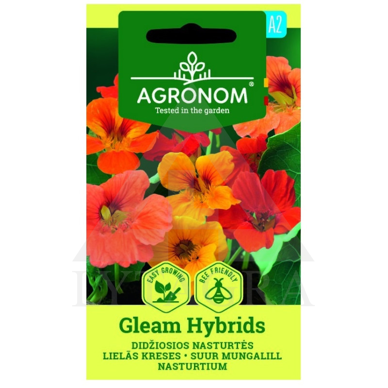 AGR NASTURTĖS DIDŽ.GLEAM HYBRIDS