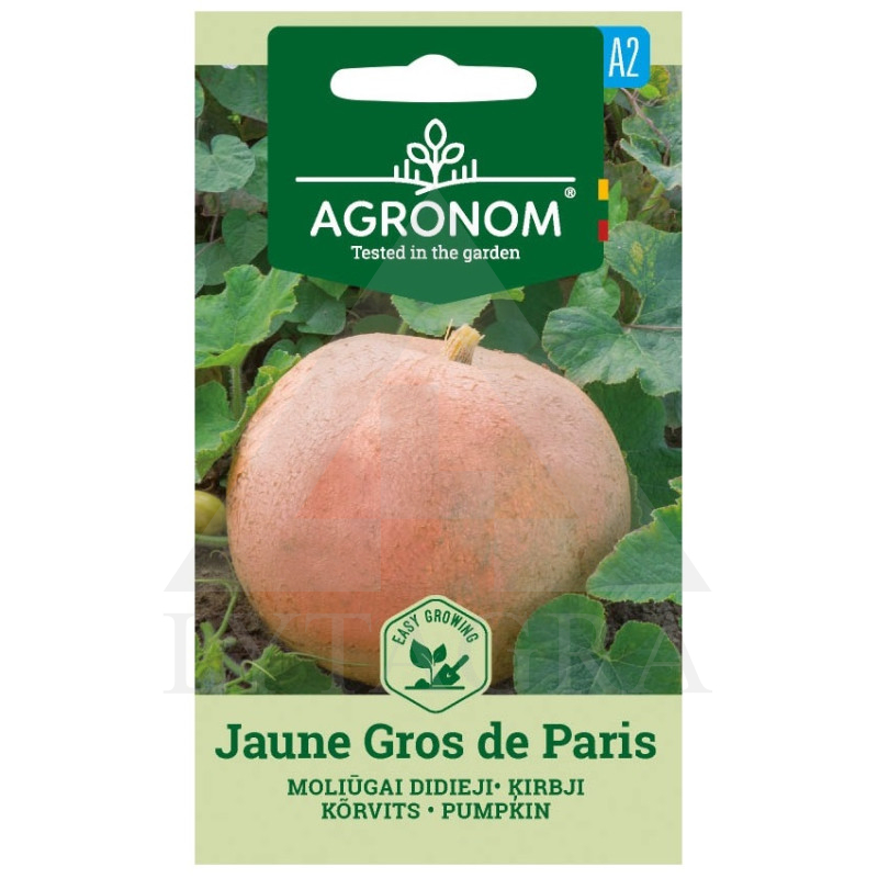 AGR-MOLIŪGAI JAUNE GROS DE PARIS 1,5G