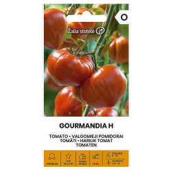 VL POMIDORAI VALGOMIEJI GOURMANDIA H