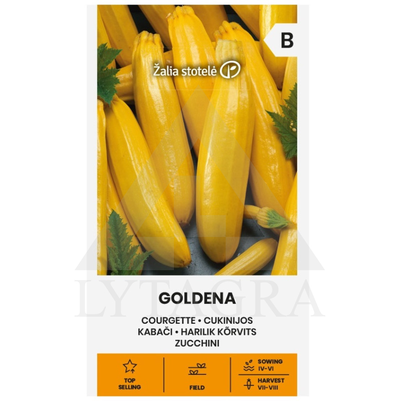 VL CUKINIJOS GOLDENA