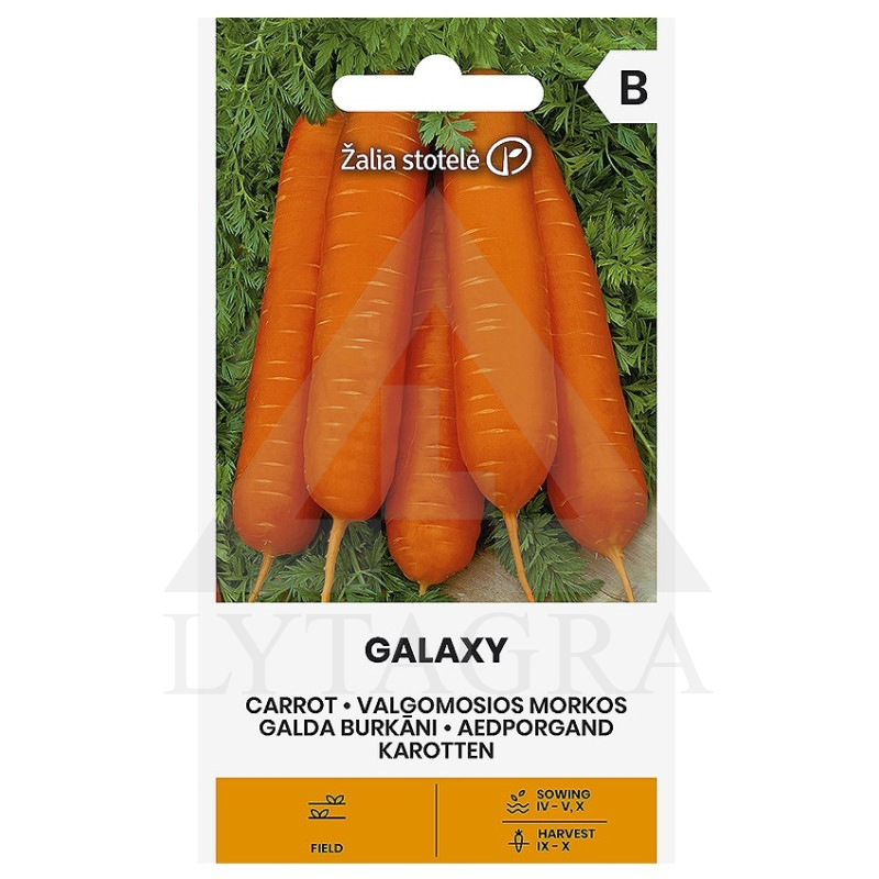 VL MORKOS VALGOM. GALAXY