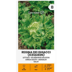VL SALOTOS SĖJAM REGINA DEI GHIACCI