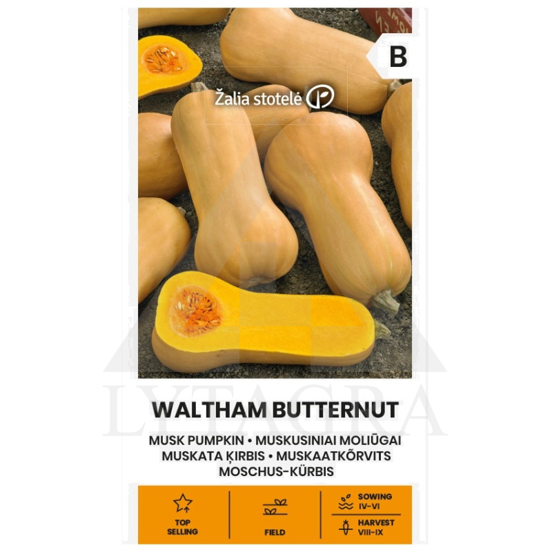 VL MOLIŪGAI MUSKUS WALTHAM BUTTERNUT