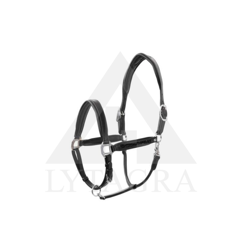 ZZWKR-099-F Horze Delemont odinis apynasris