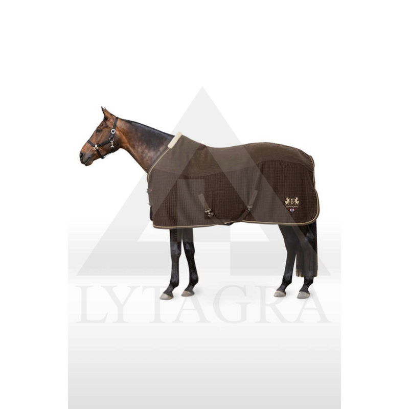 BZGJA-737-155 Uždangalas žirgui B Vertigo