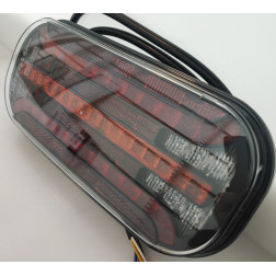 Žibintas LED Fristom FT-230 PM DI 12/24V