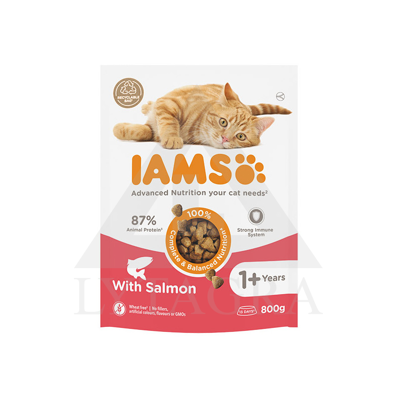 Pašaras  katėms IAMS su lašiša 800 g 81603133