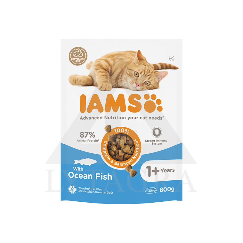 Pašaras  katėms IAMS su jūros žuvimi 800 g 81603122