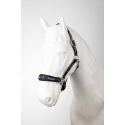 44E2V-584-00C APYNASRIS HORZE HUNTINGTON